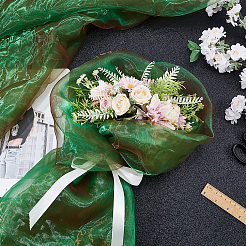 5M Organza Fabric&nbsp;DIY-HS0002-53A
