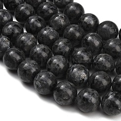 Natural Larvikite Beads Strands&nbsp;GSR20mmC128