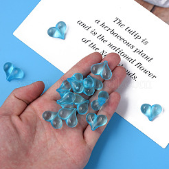 Transparent Acrylic Beads&nbsp;MACR-S373-70-B08