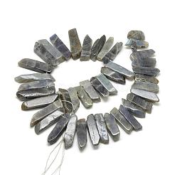 Natural Labradorite Beads Strands&nbsp;G-R419-03