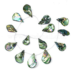 Electroplated Natural Freshwater Shell Beads&nbsp;SHEL-N026-196