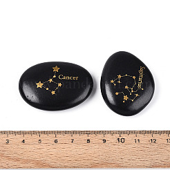 12Pcs Constellations Natural Black Stone Mineral Specimen&nbsp;G-N360-01