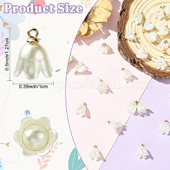 30Pcs Opaque Resin Imitation Pearl Charms&nbsp;FIND-YW0009-02