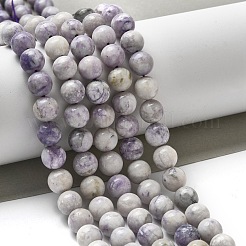 Natural Purple Turquoise Beads Strands&nbsp;G-L595-C04-02