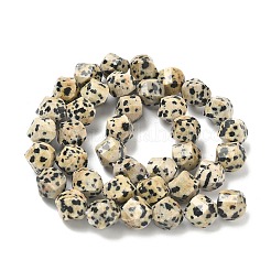 Natural Dalmatian Jasper Beads Strands&nbsp;G-C267-B21