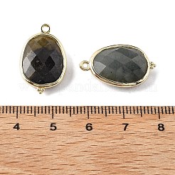 天然ラブラドライトのファセット加工楕円コネクタチャーム  真鍮パーツ  ゴールドカラー  ラックめっき  22x13.5x6mm  穴：1.4mm&nbsp;G-H323-02G-09
