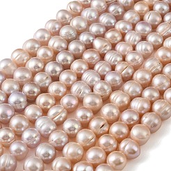 Natural Cultured Freshwater Pearl Beads Strands&nbsp;PEAR-L034-18B