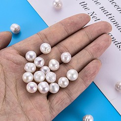 ナチュラルケシパールビーズ  養殖淡水パール  穴なし/ドリルなし  ライス  貝殻色  10~11x9~10mm&nbsp;PEAR-N020-B03