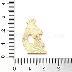 合金エナメルチャーム  ゴールドカラー  顕微鏡  26x15x1.5mm  穴：1.8mm&nbsp;ENAM-R146-03C