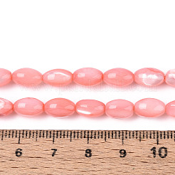Natural Trochus Shell Beads Strands&nbsp;SHEL-K006-19-01E
