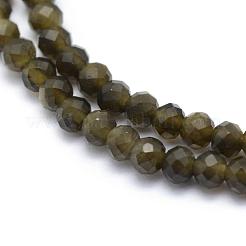 天然な金色の光沢のある黒曜石ビーズ 連  多面カット  ラウンド  3mm  穴：0.5mm  約113個/連  15.35インチ（39cm）&nbsp;G-E411-34-3mm