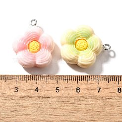 Cute Opaque Resin Pendants&nbsp;LS-RESI-S014-02