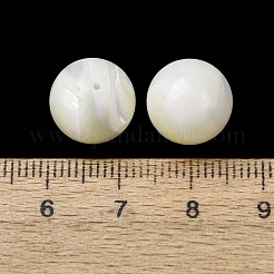 Natural Trochid Shell/Trochus Shell Beads&nbsp;SH-CBA2978-22