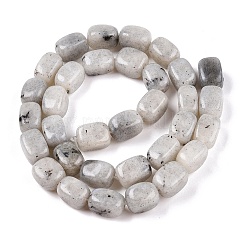 天然石ラブラドライトビーズ連売り  直方体の  10~12x8~9x7~8mm  穴：1.2mm  約33個/連  15.35''（39センチメートル）&nbsp;G-T138-85