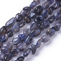 天然のアイオライトビーズ連売り  タンブルストーン  ナゲット  4~9x4~8mm  穴：1mm  約58~60個/連  15.7インチ〜16.1インチ（40~41cm）&nbsp;G-P433-13