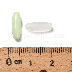 Painted Glass Beads&nbsp;GLAA-C037-01B