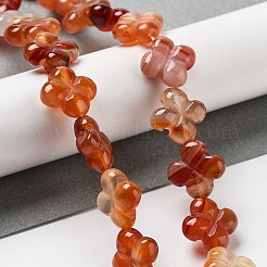 天然石赤瑪瑙ビーズ連売り  4  - 花びらの花  14x14x5.5mm  穴：1.2mm  約15個/連  7.87''（20センチメートル）&nbsp;G-P520-A06-01