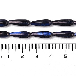 Natural Freshwater Shell Beads Strands&nbsp;SHEL-A004-03E