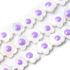 Natural Freshwater Shell Enamel Beads Strands&nbsp;SHEL-K006-01