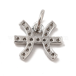 Brass Micro Pave Cubic Zirconia Charms&nbsp;KK-E077-02P-03