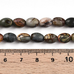 Natural Picasso Jasper/Polychrome Jasper Beads Strands&nbsp;G-N346-02B-05