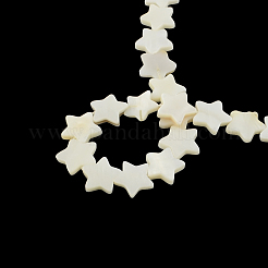 Star Shape Natural Freshwater Shell Beads Strands&nbsp;SSHEL-F290-18B