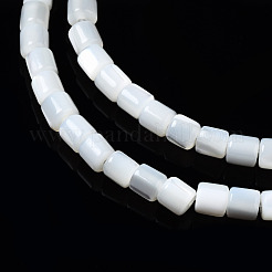 Natural Trochid Shell/Trochus Shell Beads Strands&nbsp;SSHEL-N034-77-A01