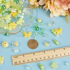 170Pcs 17 Styles Opaque & Transparent Acrylic Beads&nbsp;MACR-SC0002-15