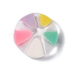 Transparent Resin Pendants&nbsp;LS-RESI-E029-03B