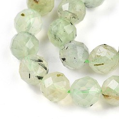 Natural Prehnite Beads Strands&nbsp;G-S345-10mm-28