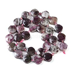 Natural Tourmaline Beads Strands&nbsp;G-G182-A01-01