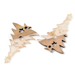 Transparent Resin & Walnut Wood Pendants&nbsp;RESI-S389-018A-B05
