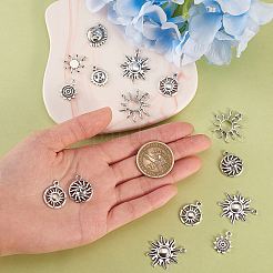 100Pcs 10 Styles Tibetan Style Alloy Charms&nbsp;TIBEP-CJ0001-59
