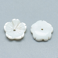 Freshwater Shell Beads&nbsp;SHEL-S275-009