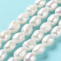 天然養殖淡水パールビーズ連売り  両面研磨  グレード5 A  貝殻色  13~14x10~11x8~9mm  穴：0.6mm  約32~36個/連  15.55''（39.5~40.5センチメートル）&nbsp;PEAR-Z002-13