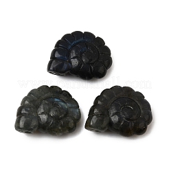 Natural Labradorite Pendants&nbsp;G-NH0065-01C