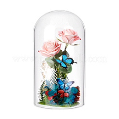 Glass Cloche Dome Covers&nbsp;GLAA-WH0057-07