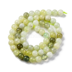 Natural New Jade Round Beads Strands&nbsp;G-O039-16-6mm-02