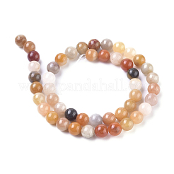 Natural Golden Silk Jade Beads Strands&nbsp;G-L538-034-8mm