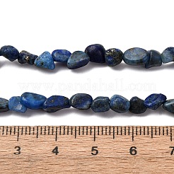 Natural Lapis Lazuli Beads Strands&nbsp;G-I389-A05