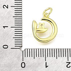 Brass Micro Pave Cubic Zirconia Pendants&nbsp;KK-V007-23G