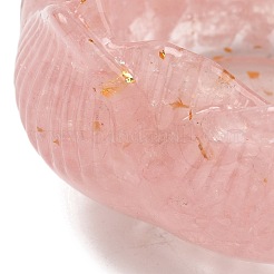 Resin Incense Burners&nbsp;DJEW-H012-01A