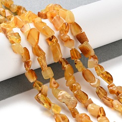 Natural Amber Beads Strands&nbsp;G-P497-01C-04