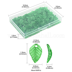 600Pcs Transparent Acrylic Charms&nbsp;TACR-FS0001-62