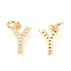 Brass Micro Pave Cubic Zirconia Charms&nbsp;ZIRC-O037-09G