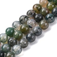 Natural Moss Agate Beads Strands&nbsp;LS-G-F453-8mm