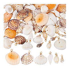 60Pcs 6 Styles Natural Mixed Shell Pendants&nbsp;PALLOY-PH01907