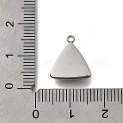 304 Stainless Steel Charms&nbsp;STAS-F318-11B-P