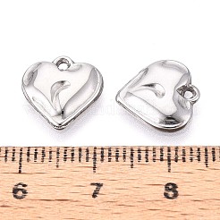 304 Stainless Steel Charms&nbsp;STAS-T065-24B-P