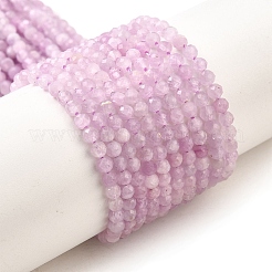 Natural Kunzite Beads Strands&nbsp;G-G259-D11-3mm